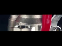 Van bi tay gạt bằng đồng thau 25 Bar